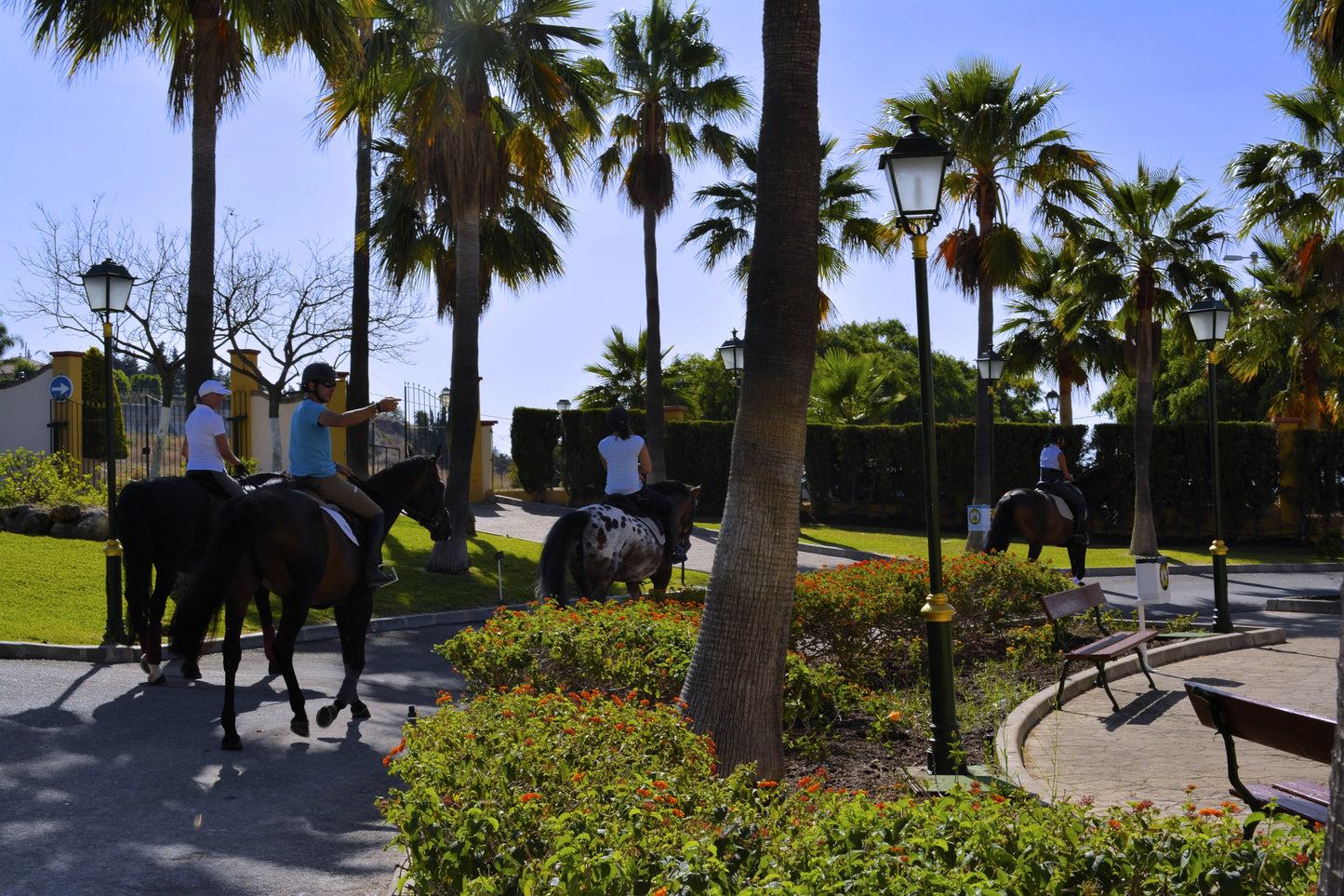Paseo en Pony - Escuela de Arte Ecuestre Costa del Sol