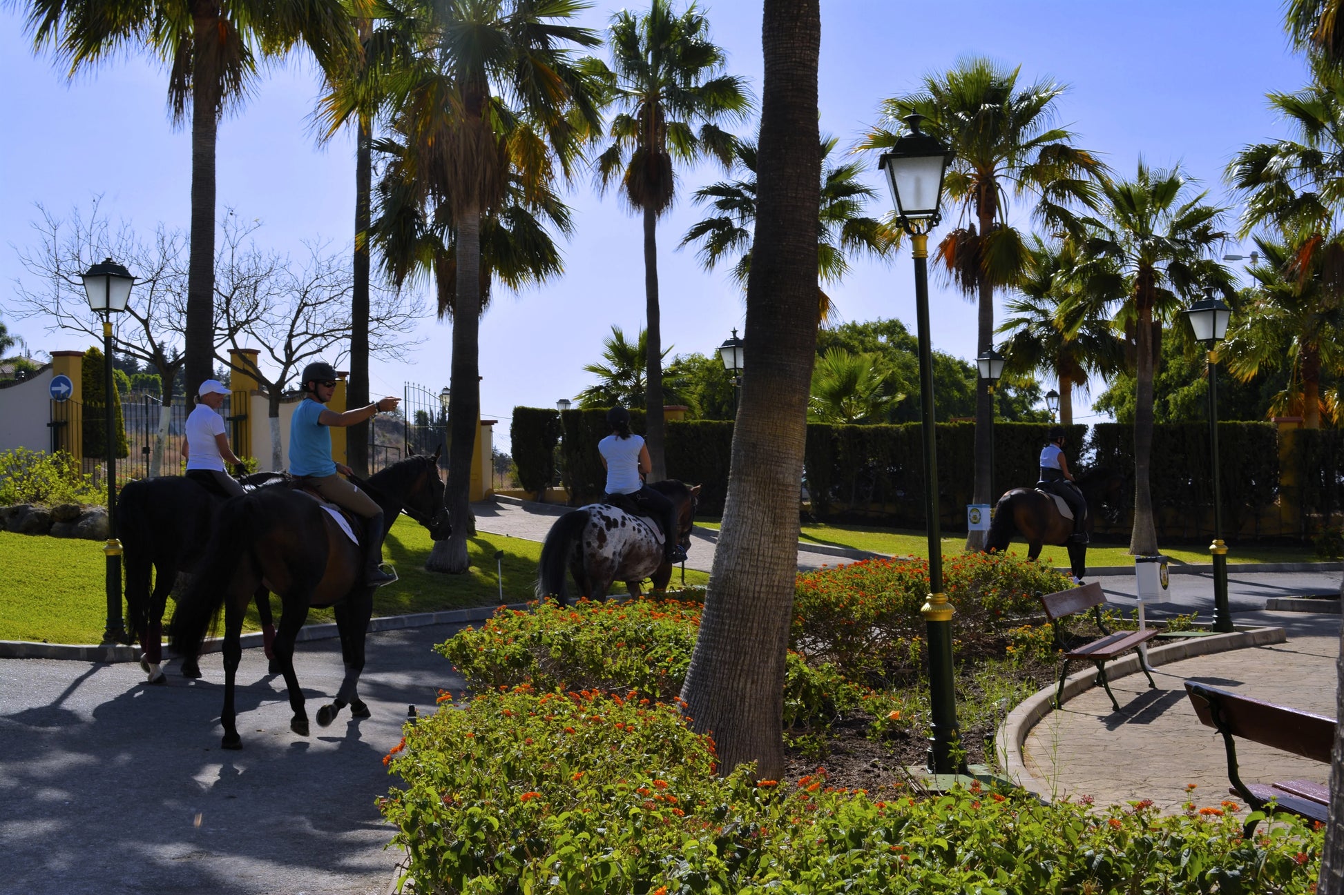 Paseo en Pony - Escuela de Arte Ecuestre Costa del Sol