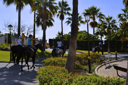 Paseo en Pony - Escuela de Arte Ecuestre Costa del Sol