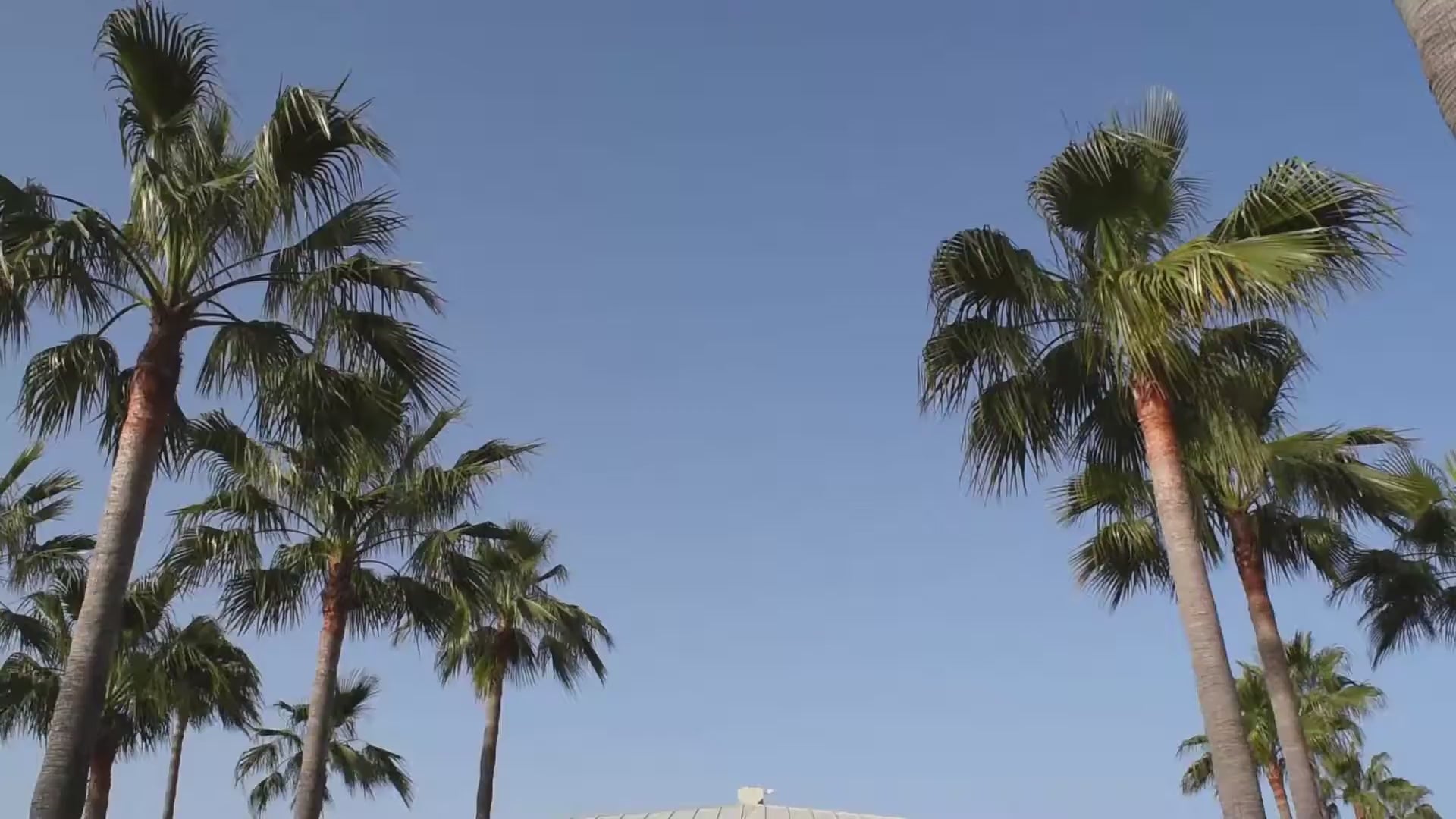 Cargar video: Escuela de arte ecuestre Costa del Sol.mp4__PID:298a4a4e-fe57-4b65-9a01-60c451f5dcde